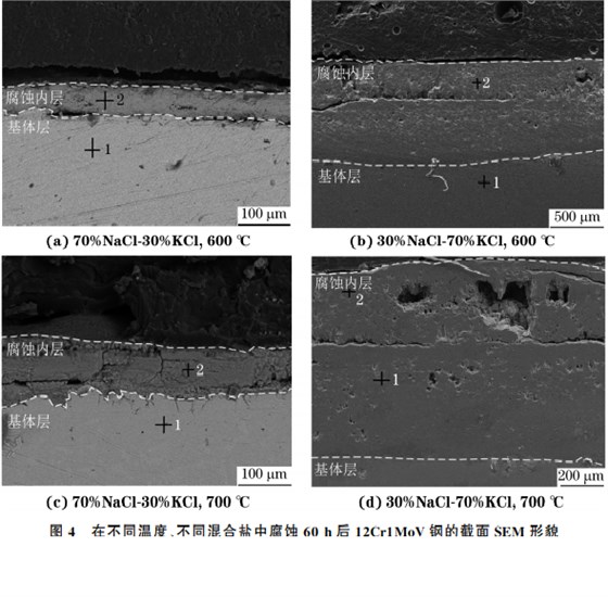 在不同溫度、不同混合鹽中腐蝕６０h后１２Cr１MoV鋼的截面SEM 形貌