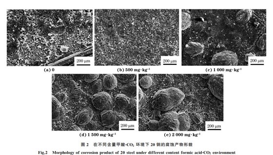 圖２ 在不同含量甲酸ＧCO２ 環(huán)境下２０鋼的腐蝕產(chǎn)物形貌