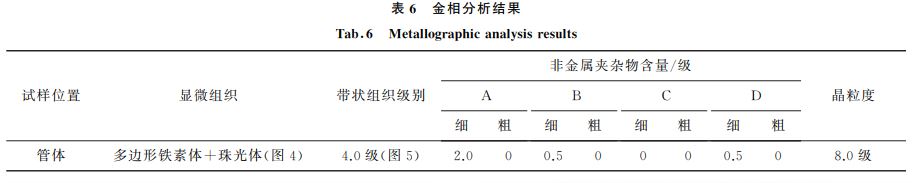 表６ 金相分析結果