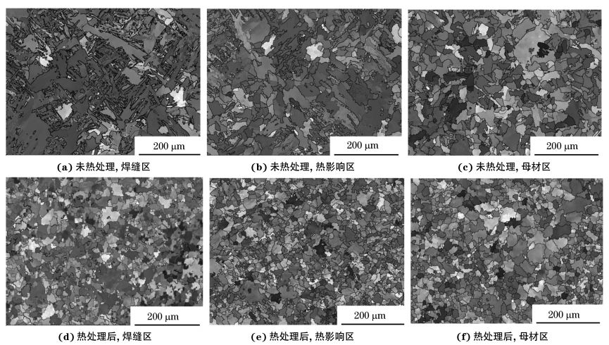 圖２ 熱處理前后焊接接頭焊縫區(qū)、熱影響區(qū)和母材區(qū)的取向成像圖