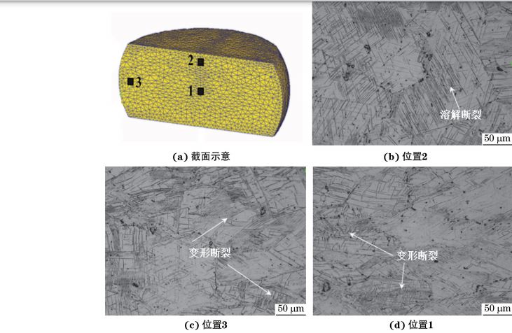 在９８０ ℃、應(yīng)變速率為０．０１０s－１下壓縮至應(yīng)變量為３０％后