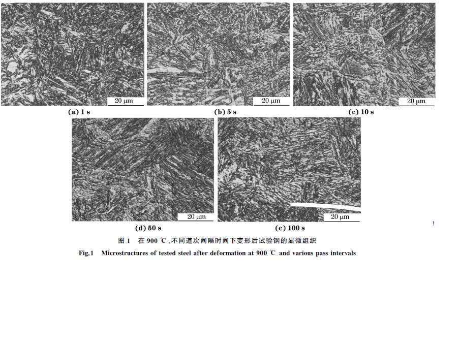 圖１ 在９００ ℃、不同道次間隔時間下變形后試驗鋼的顯微組織
