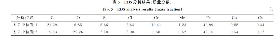 表５ EDS分析結果(質量分數(shù))