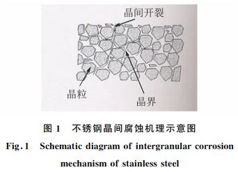 圖1 不銹鋼晶間腐蝕機理示意圖